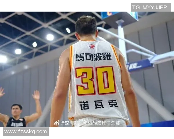 深圳篮球队在挑战赛中的比赛经验与表现分析与点评